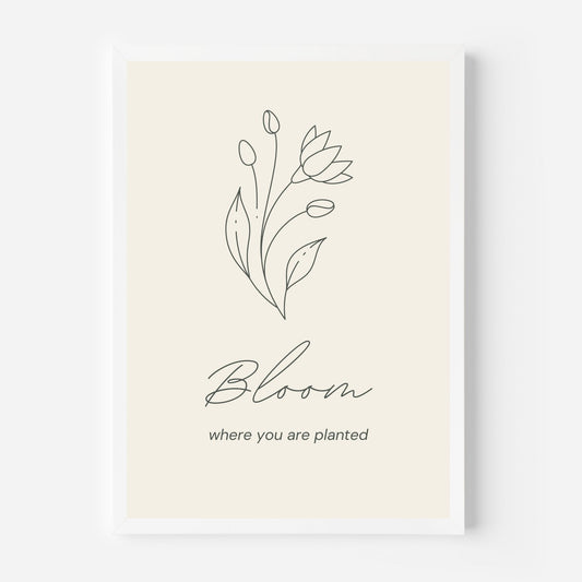 Bloom